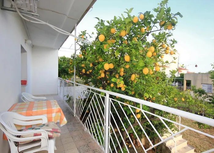 10256b * 奥瑞比克